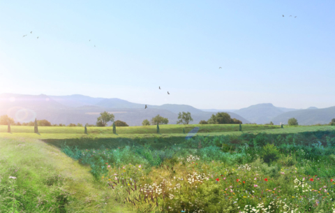 XXX MONTELIMAR_perspective3