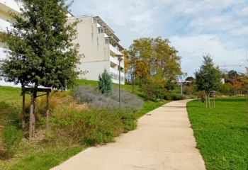 17718 RILLIEUXLAPAPE_photo1