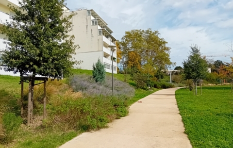 17718 RILLIEUXLAPAPE_photo1