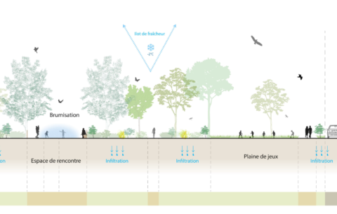 28723 RIS ORANGIS_coupe1