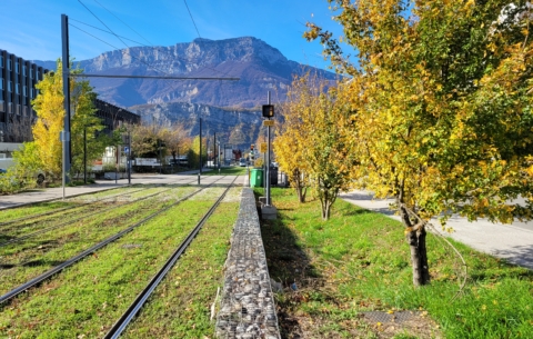 11115 TRAM GRENOBLE_photo8