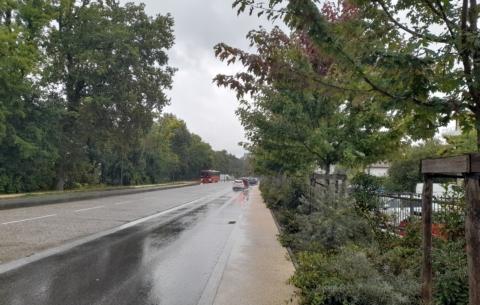 11815 BHNS GEX_photo2