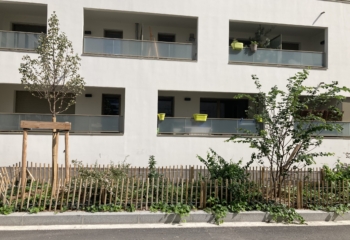 17518 PUP PATAY_photo2