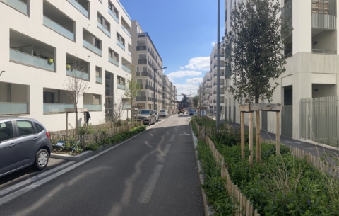 17518 PUP PATAY_photo3