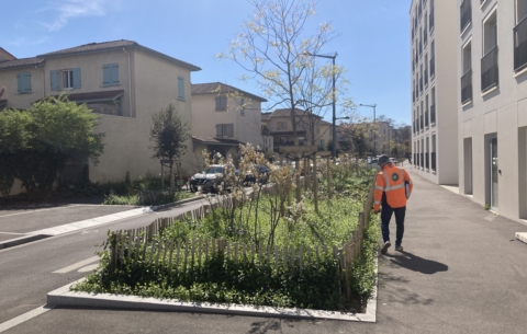 17518 PUP PATAY_photo4