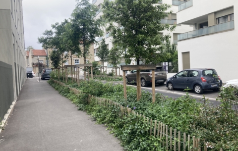 17518 PUP PATAY_photo6