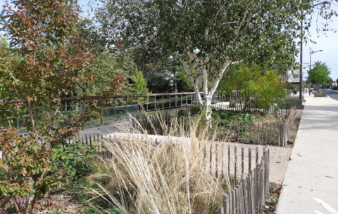 19318 MARCY L'ETOILE_photo1