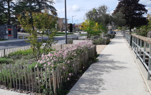 19318 MARCY L'ETOILE_photo2