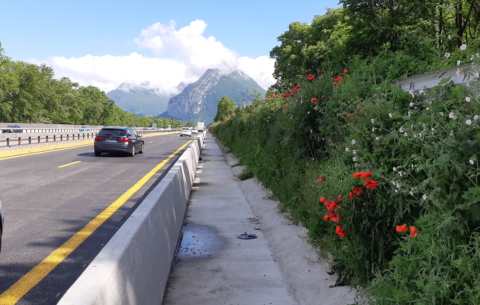 22820 A480 GRENOBLE_photo2