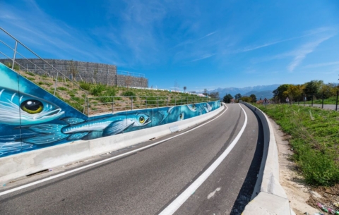 22820 A480 GRENOBLE_photo3