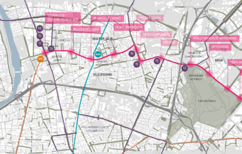 CARTO_plan de travail - site internet