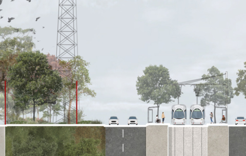 COUPE SUD_site internet